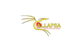 Allapsa