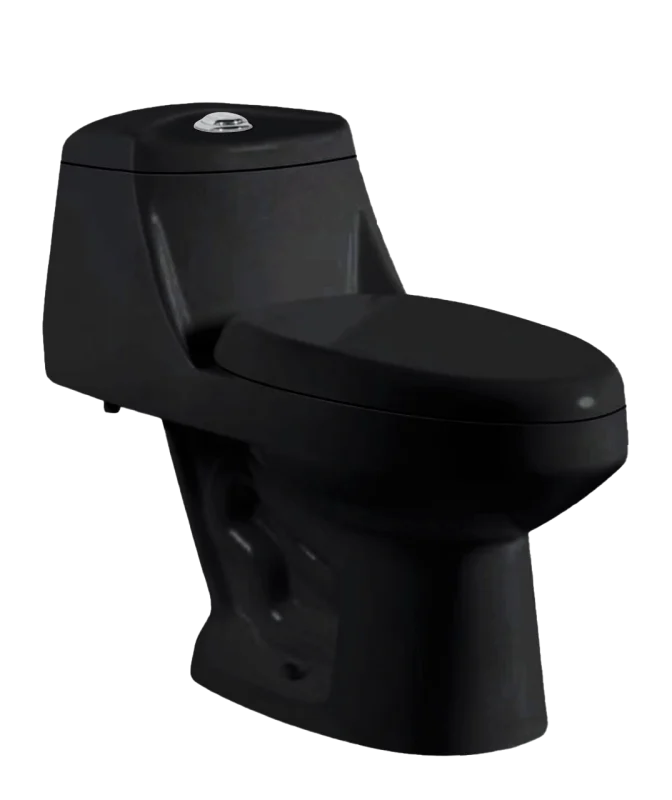 Sanitario One Piece Toscana Negro